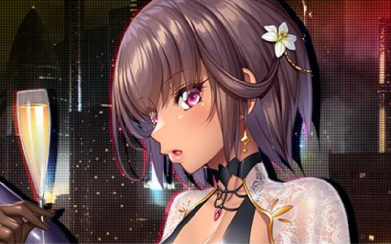 对魔忍雪风绅士游戏：剧情、玩法深度解析与评测