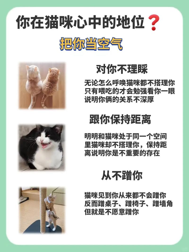 想玩当你的猫咪?这里提供下载地址及平台选择!