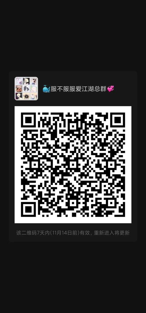 双胞胎少女逆推游戏安卓汉化版二维码获取