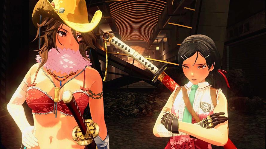 玫瑰行动绅士游戏合集版本推荐，告别版本烦恼