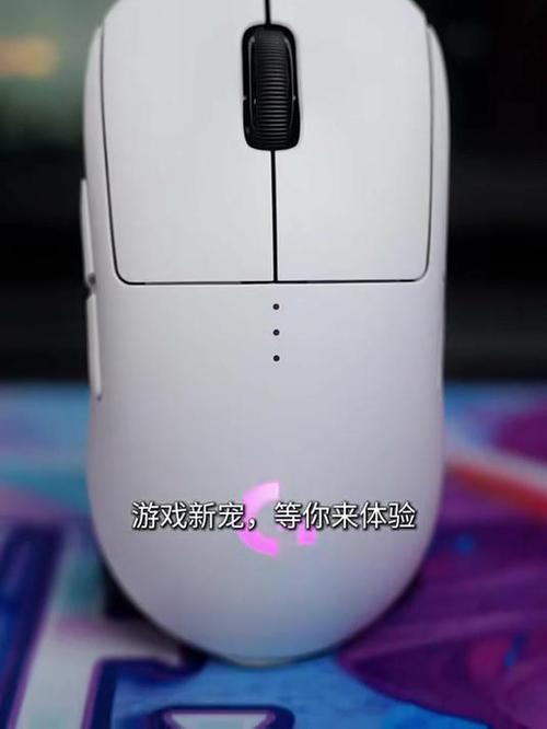 活体飞机杯工厂歼灭队游戏官网:全新战争策略等你体验