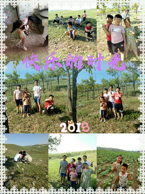 还在愁弟弟暑假安排？试试这些乡村生活游戏！