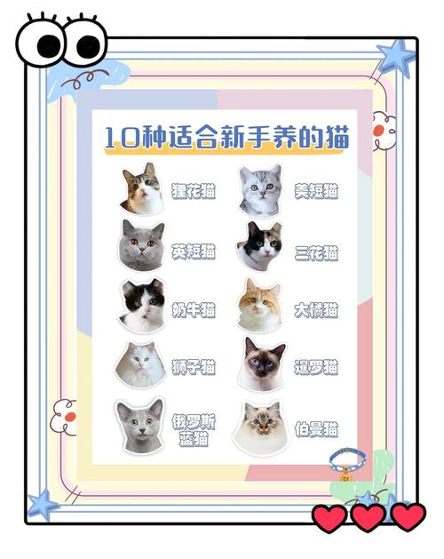 当你的猫咪安卓版攻略：新手玩家必看游戏技巧