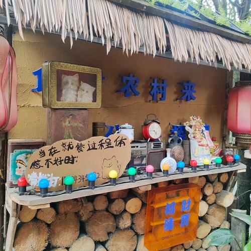 我的乡村生活最新版本特色玩法：不一样的乡村体验