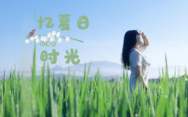 夏日的甜蜜回忆官方网站：记录夏日点滴，分享甜蜜瞬间