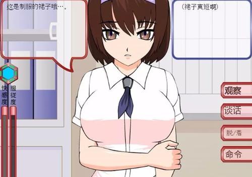 女骑士蕾蒂西亚汉化版下载:超简单获取方法分享