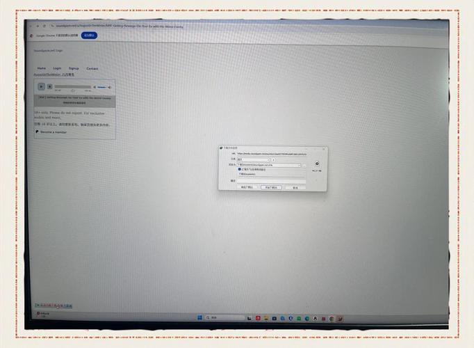 快速下载jinricp：2月28日最便捷的下载技巧
