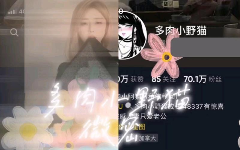 野猫软件最新版本是多少？有哪些改进？