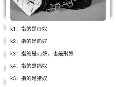 奴隶训练下载地址免费分享：快速下载无套路！