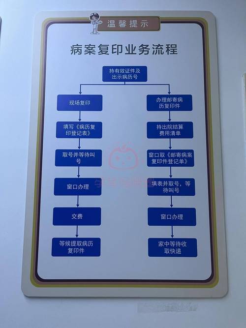 玩转出生证明游戏：深度体验，解锁所有秘密！