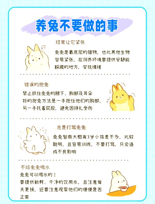 如何安全下载兔兔秘密花园？玩家必看下载指南