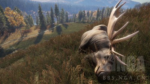 好玩吗?绝顶神乐杨过游戏深度体验评测