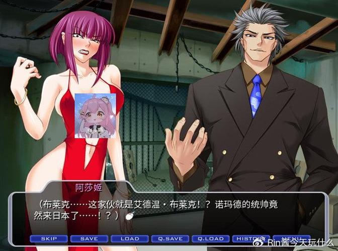 对魔忍阿莎姬版本大全：玩家必备版本合集