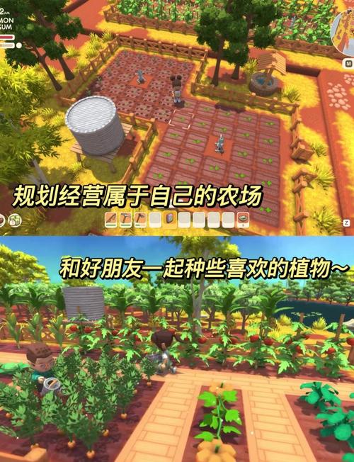 保利托农游戏介绍：美女环绕的岛屿生活