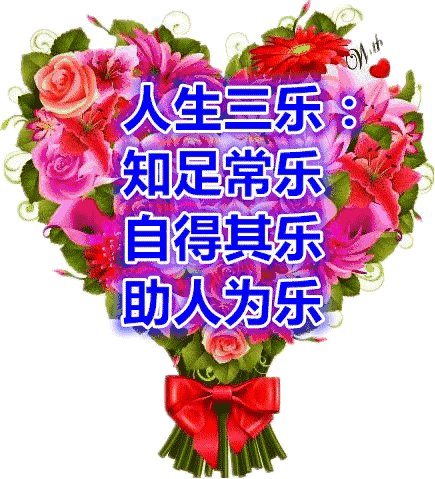 愉快的生活版本大全：解锁你的快乐人生指南