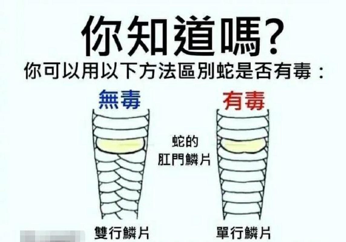 想了解女学生鉴别学汉化版更新?这里有最新消息