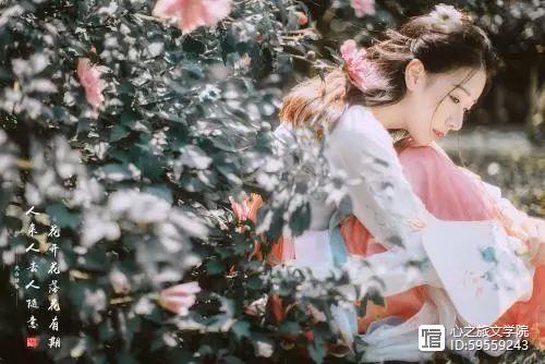 优艳之花:弟弟最爱玩的游戏类型及推荐