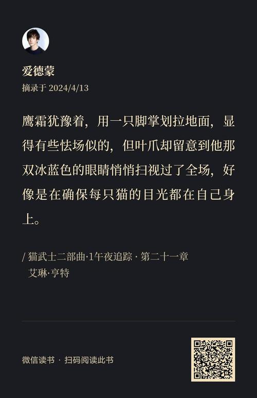 野猫软件最新版本是多少？有哪些改进？