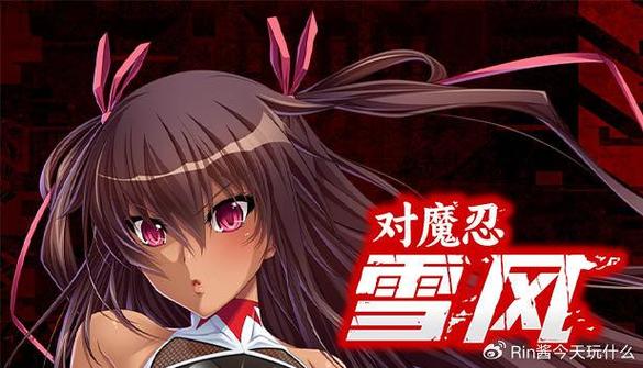 对魔忍雪风绅士游戏：剧情、玩法深度解析与评测
