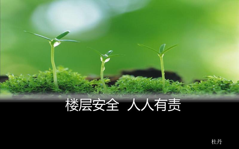 欢乐岛汉化版下载地址：安全可靠，绿色无毒！