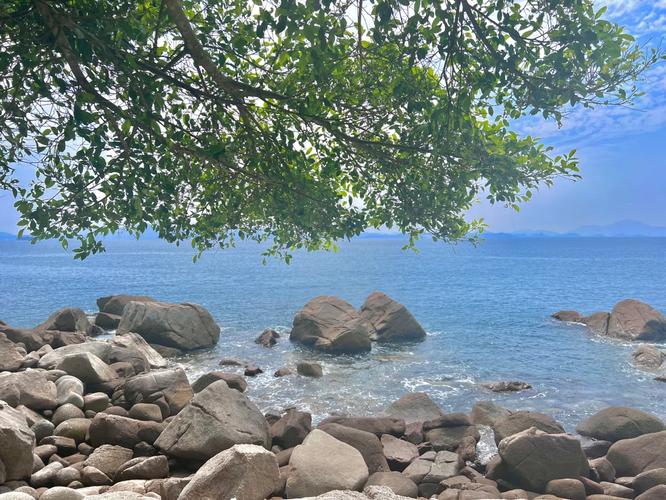 不需要爱的夏天资源难找?这里提供安全可靠的更新地址!