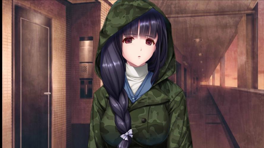 末世孤雄绅士游戏推荐:高清画质,二次元盛宴!