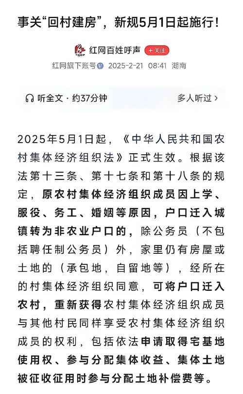 回到农村：最新地址公布，快来追更吧！