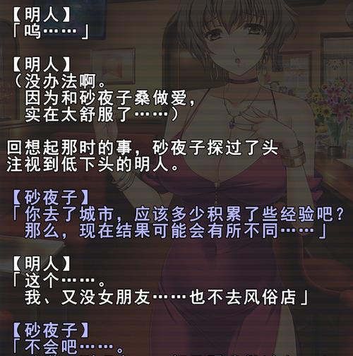 寻找妻中蜜版本大全：不同版本游戏体验对比