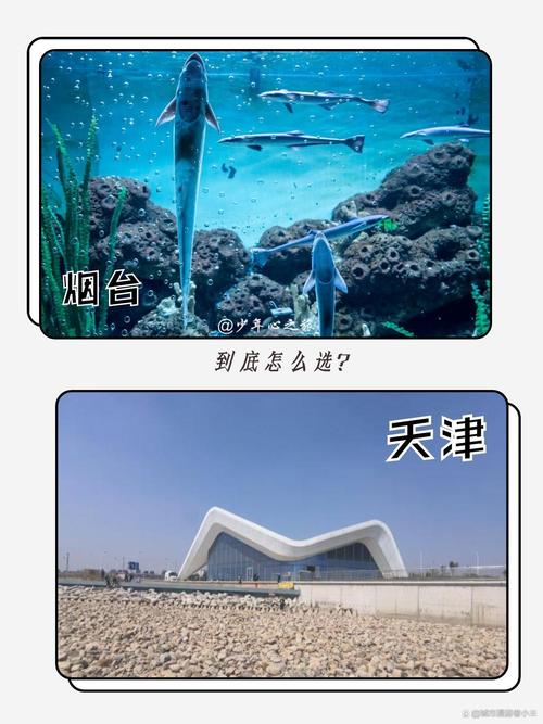 想了解时空旅行？官方网站带你一探究竟