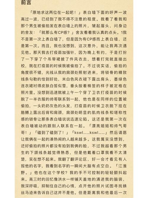 少年阿宾小说汉化版下载：安全可靠的资源分享