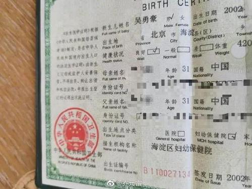 你弟弟喜欢玩的游戏,出生证明能暗示吗?