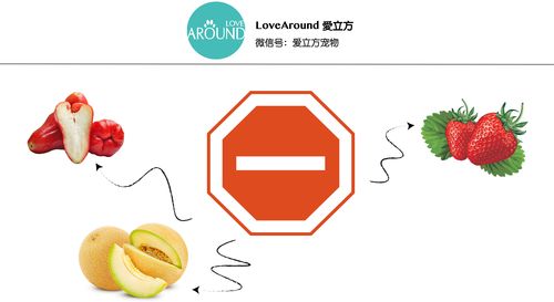 LOVE爱立方最新版本是多少？2025最新版下载地址分享