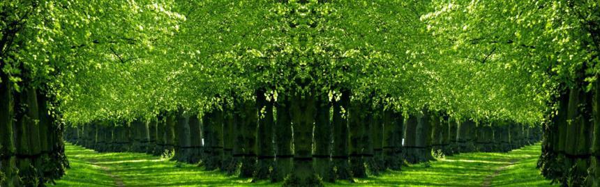 丛林V0.20版本大全：剧情背景、人物设定深度解读