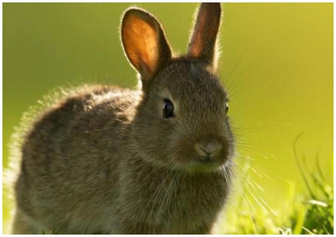 遗产逆袭下载地址分享:解压密码已准备就绪