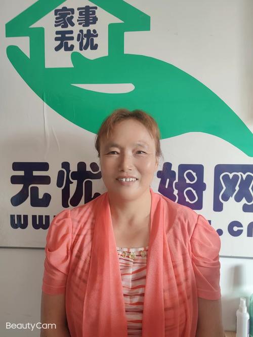 新保姆汉化版下载地址:快速下载,畅玩游戏无忧