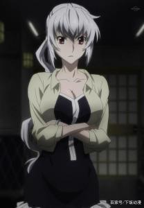 姬之岛游戏详解：精彩剧情与角色互动