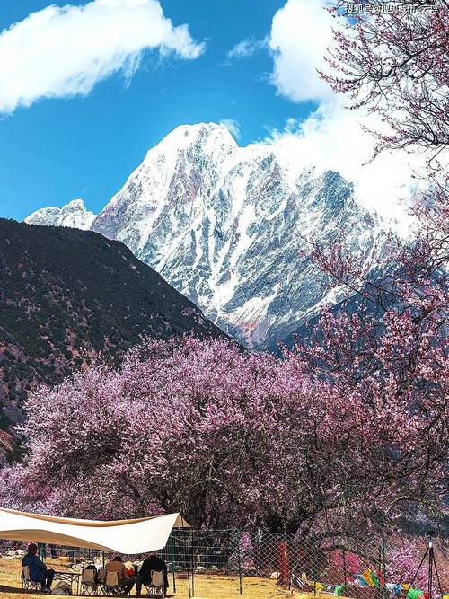 如何下载你与我的六月？最全下载教程分享