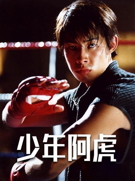 少年阿宾小说汉化版下载：安全可靠的资源分享