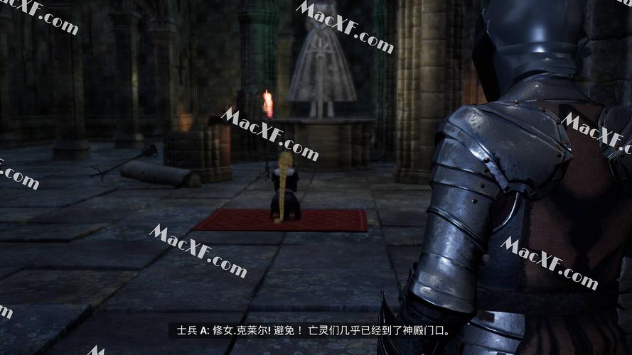 最后的圣女游戏攻略秘籍：战胜亡灵，守护圣光