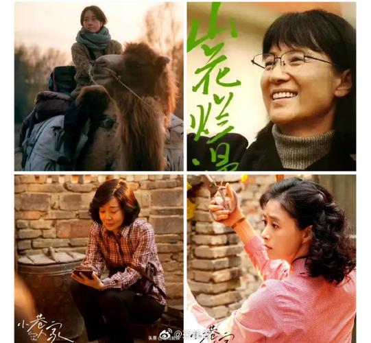 想看烂漫最新版本？这里有所有集数