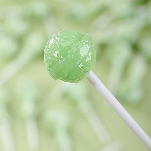 棒棒糖夏天最新版本更新地址,超详细下载步骤!