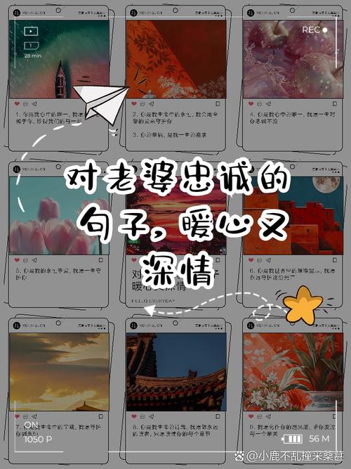 最受好评的忠诚的妻子绅士游戏:玩家口碑推荐