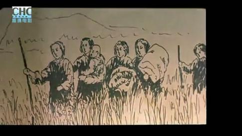 解开八月最新谜题：八月城隐藏的秘密是什么？