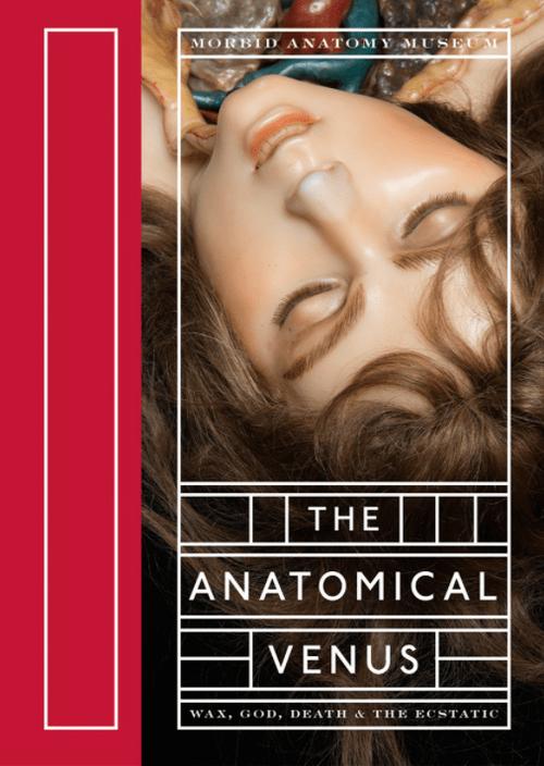 跨界汉化版最新更新：新增剧情+动画，视觉盛宴等你体验！