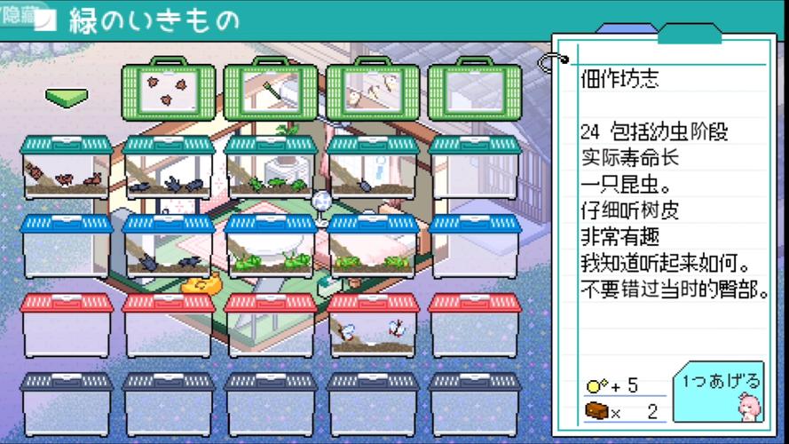 寻找夏日的宝物游戏介绍:探秘夏日宝藏的精彩故事