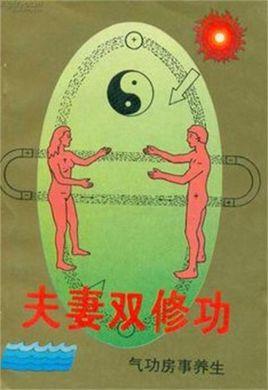 完整理合合欢宗双修版本：从入门到精通