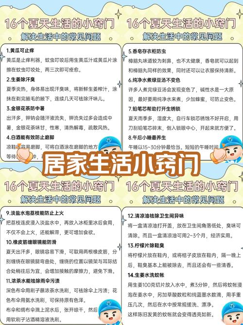 如何下载家庭生活Family Faring？安全可靠的下载途径推荐！