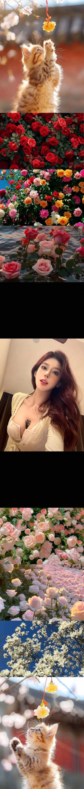 你从未见过的反差美女:安卓游戏推荐