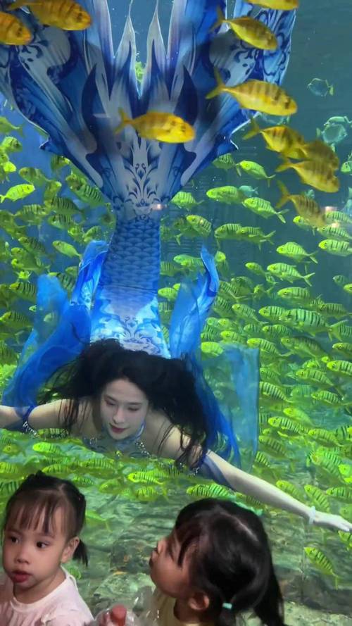 美人鱼之迷官方网站：揭秘神秘海底世界