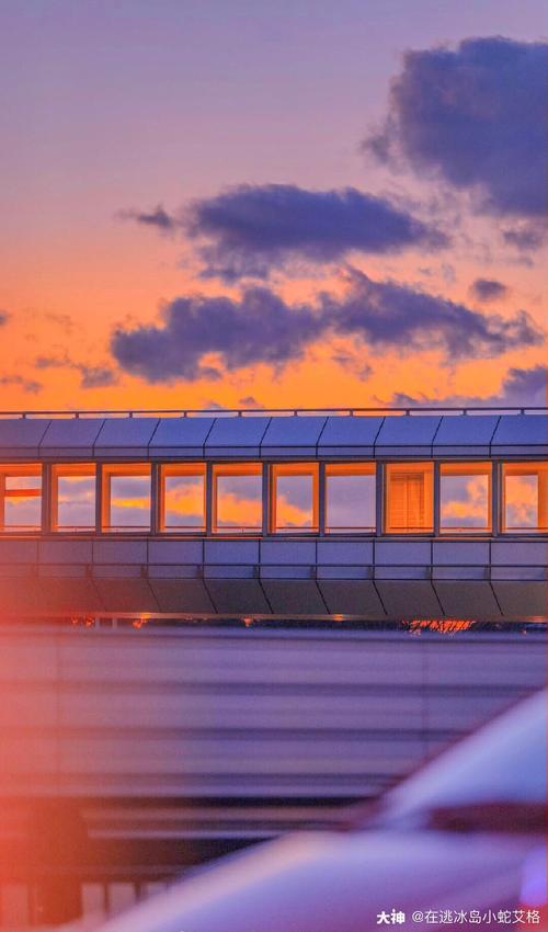 邂逅电车在哪下载?安卓手机游戏下载地址